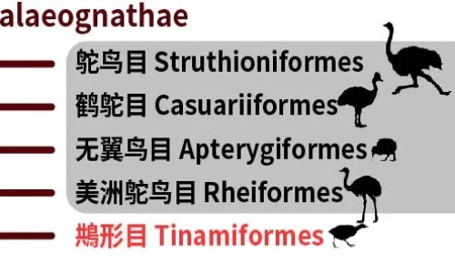 鎏金的功效网 :分享鎏金对身体有什么好处-鎏金是啥知识